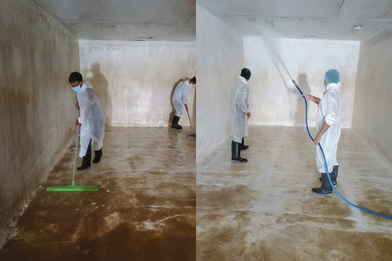 Eco-friendly water tank cleaning and disinfection in Dubai