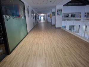 after deep clean vinyal