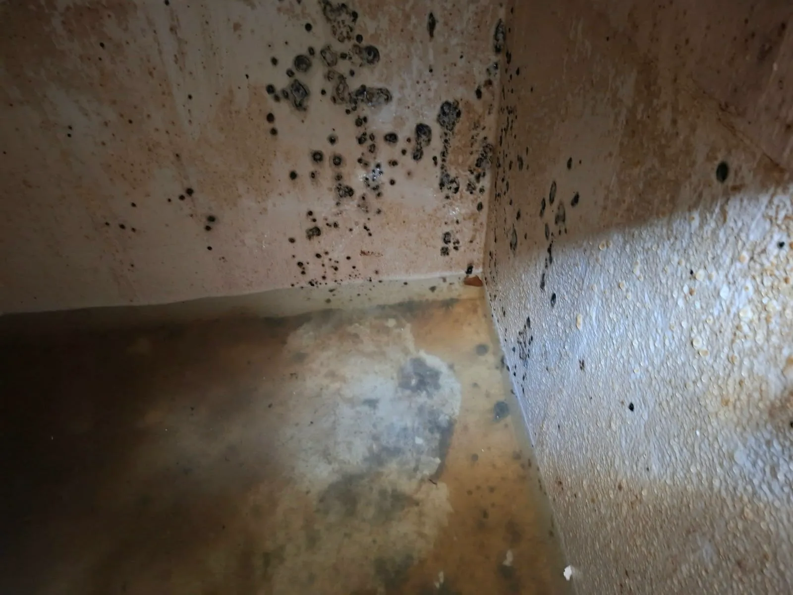 Water Tank Before Cleaning – Dubai Hills Underground water tank before cleaning in Dubai Hills Dubai